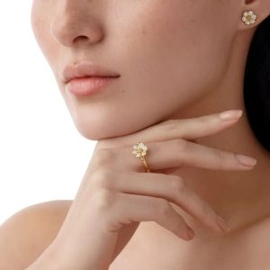 Analysis of 2025 SS Inlaid Ring Design Analysis of 2025 SS Inlaid Ring Design