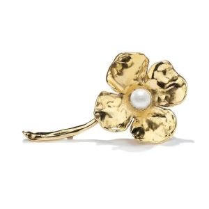 Analysis of Design Elements for AW 2025/2026 Brooches Analysis of Design Elements for AW 2025/2026 Brooches